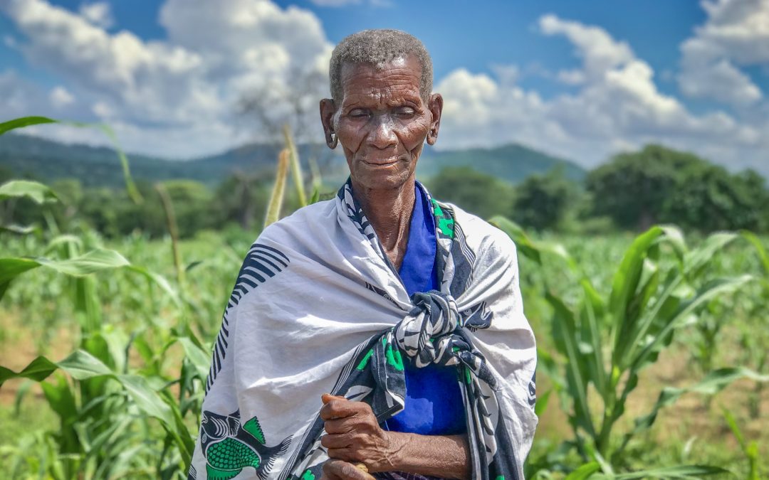 Case Study: A Vision for Tanzania