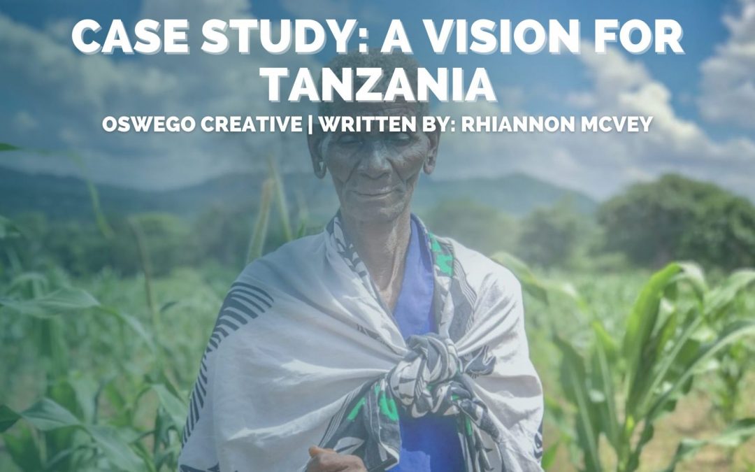 Case Study: A Vision for Tanzania